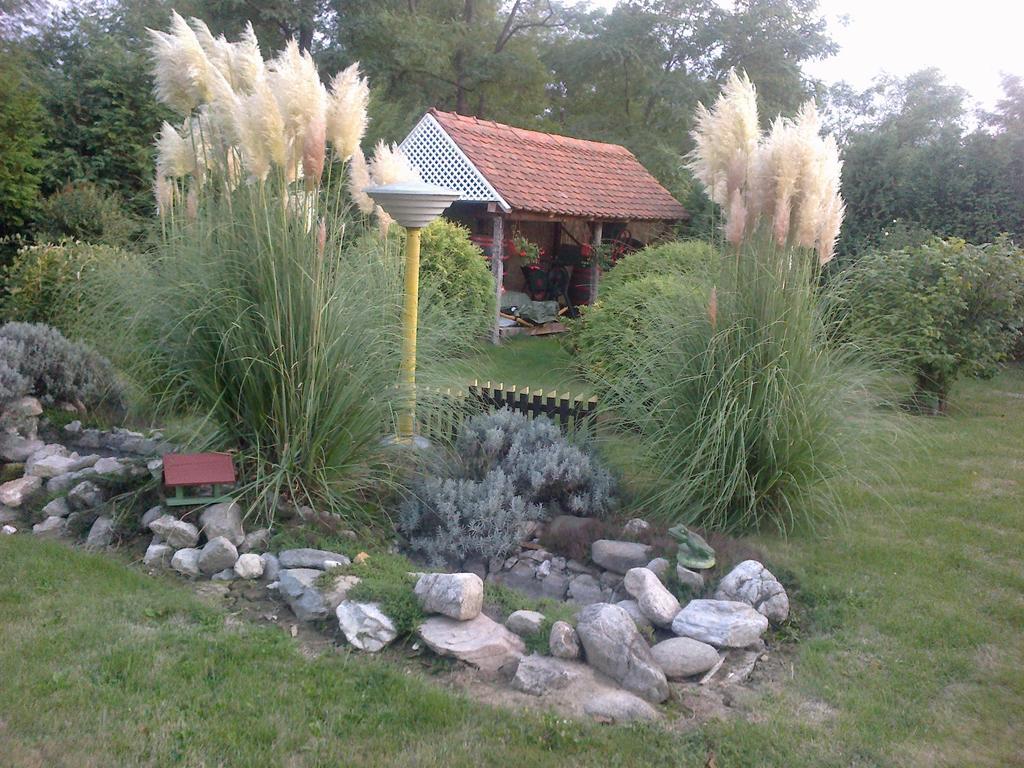 Seoski Turiziam Larva Trenkovo ภายนอก รูปภาพ